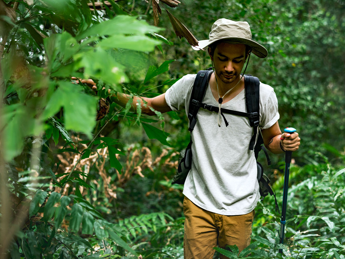 Person hiking through dense jungle
