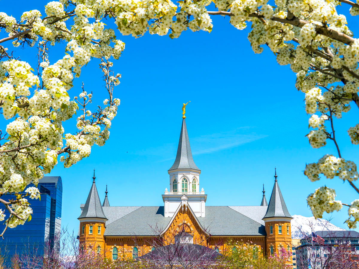 Flower blooms framing Provo Temple